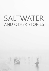 Saltwater and other stories cover image